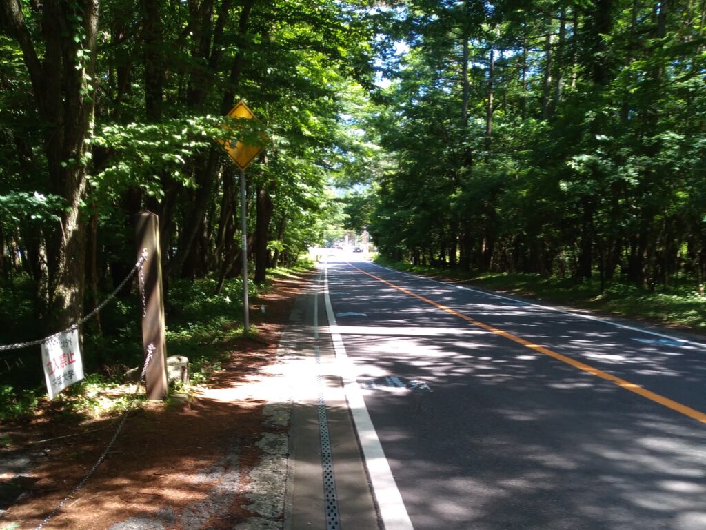 山中湖、国道413号線のの路側帯の写真