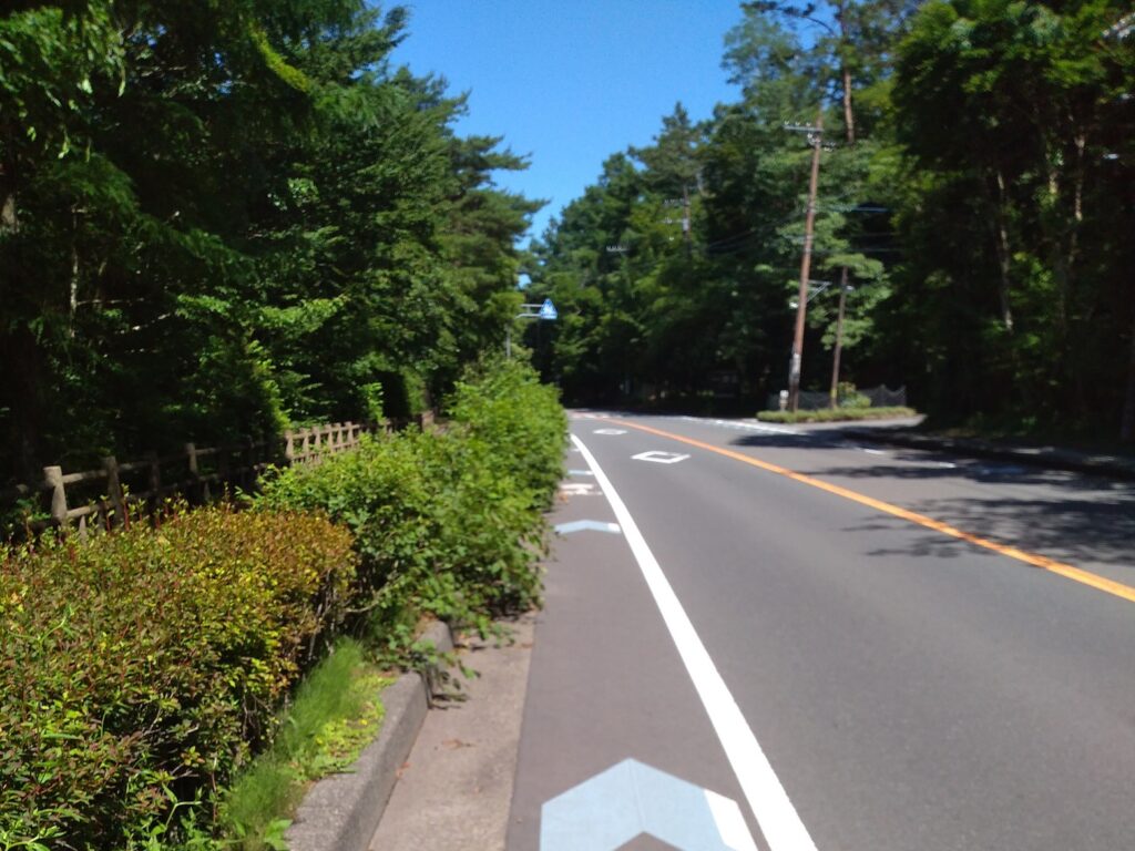 山中湖国道413号線の自転車レーンの様子