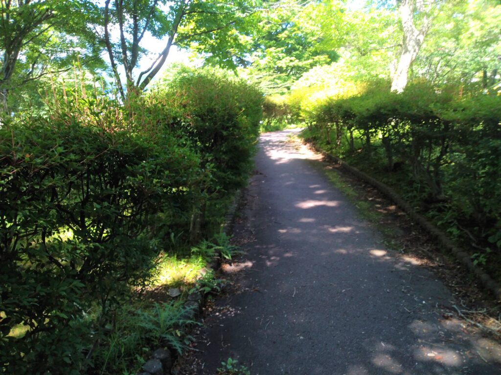 旭日丘公園の遊歩道