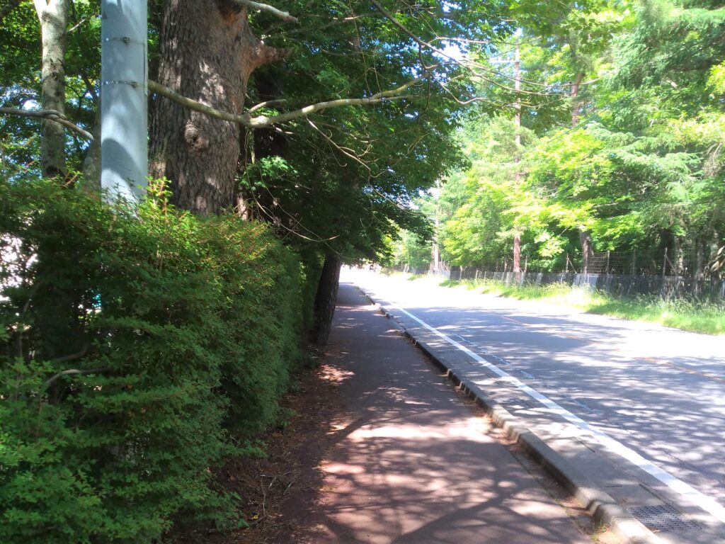 山中湖国道413号線の歩道の写真