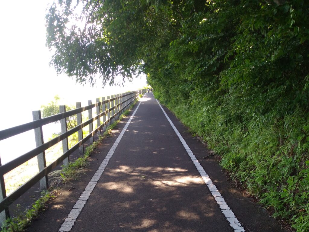 山梨県道715号富士吉田山中湖自転車道線（山中湖サイクリングロード）