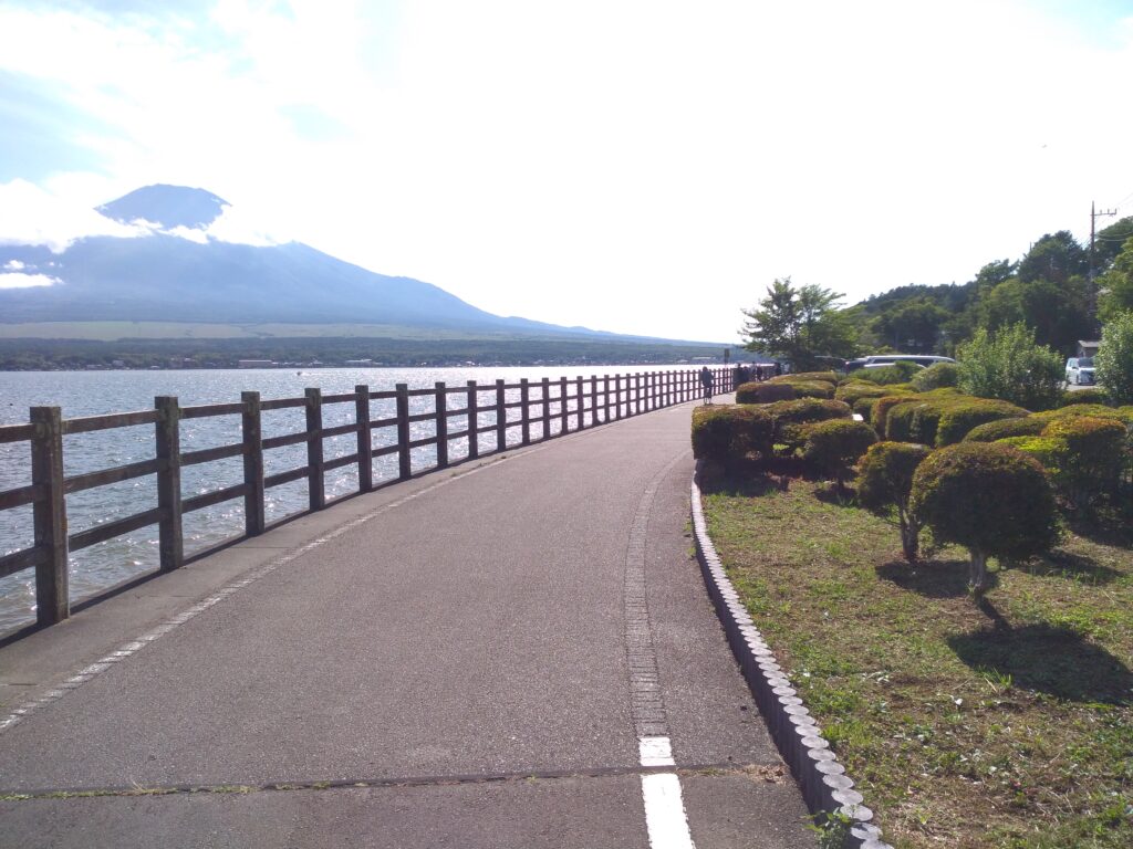 富士山が見える日の山中湖