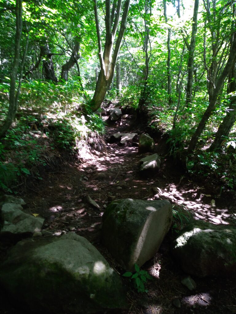 13時57分飯盛山登山道