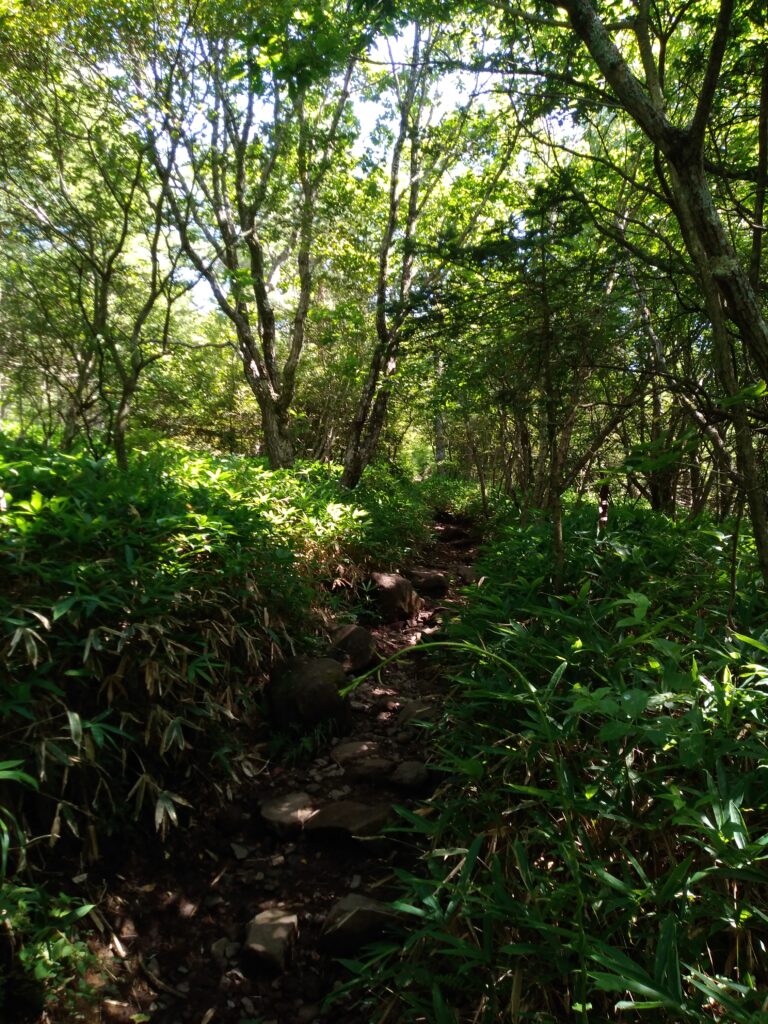 13時59分飯盛山登山道