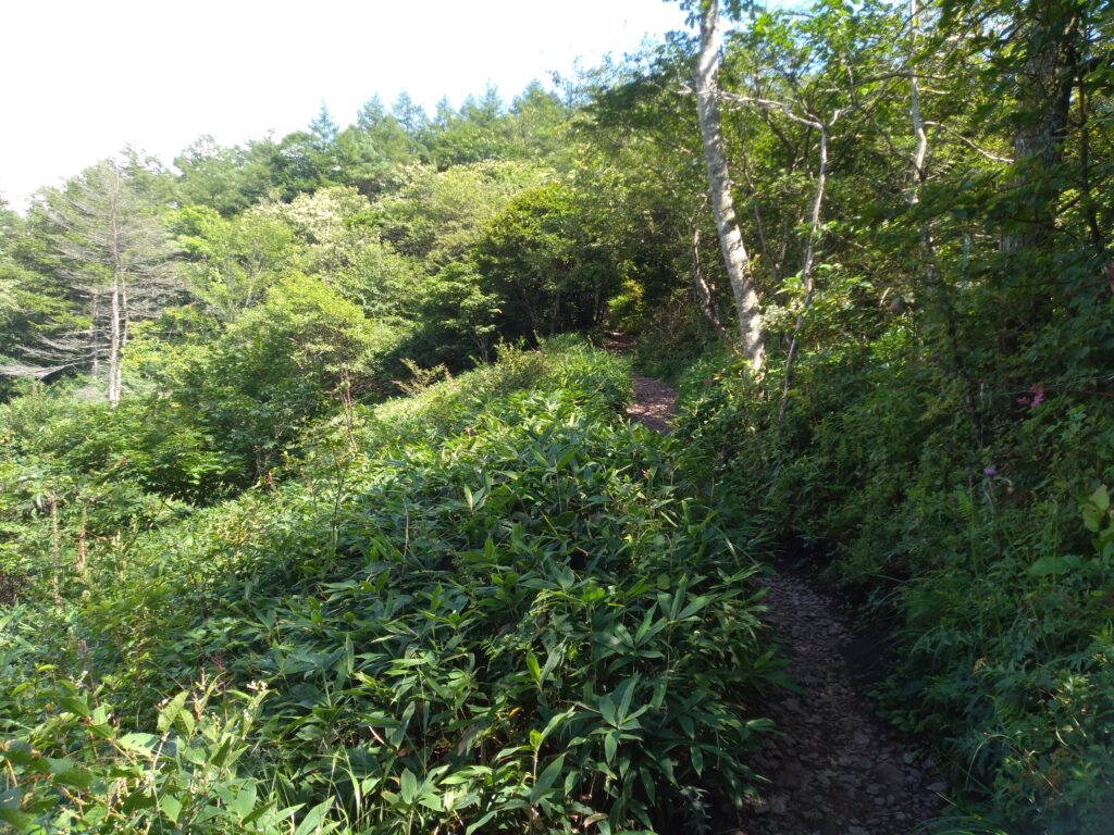 14時08分飯盛山登山道