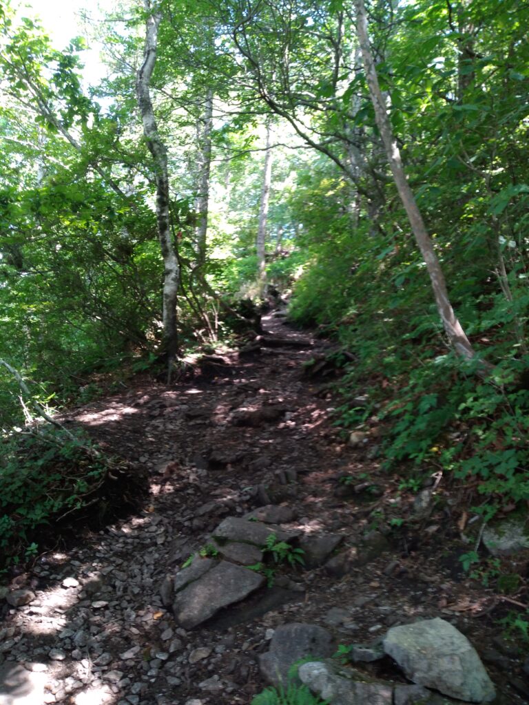 14時14分飯盛山登山道