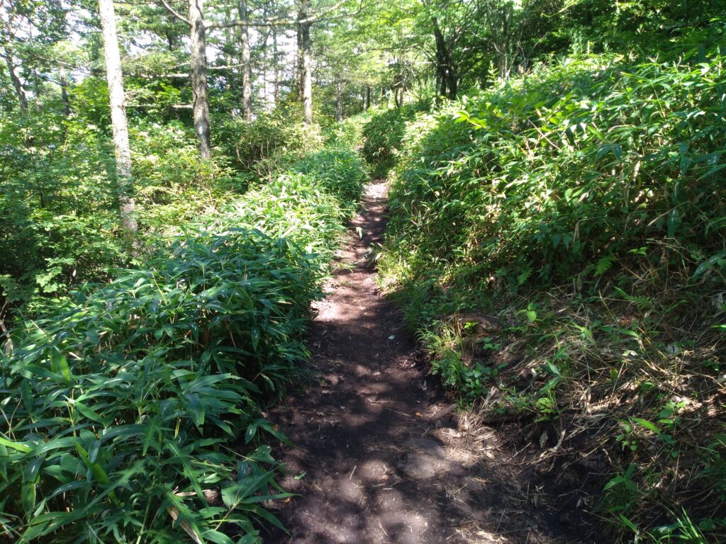 14時25分飯盛山登山道