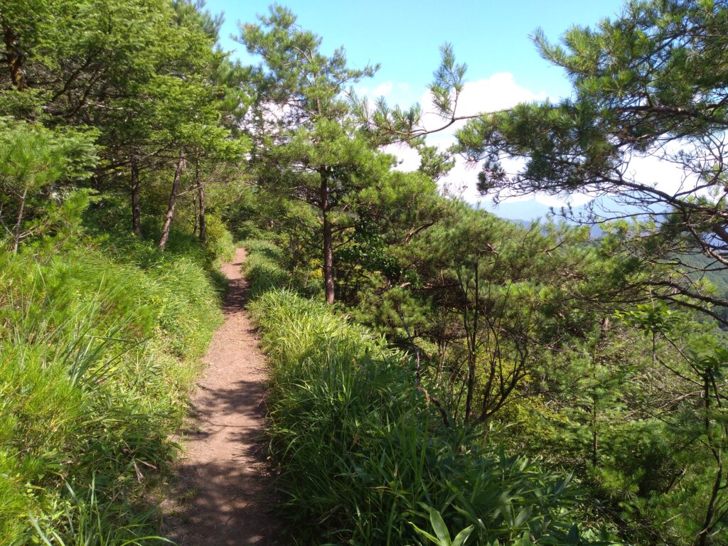 14時36分飯盛山登山道