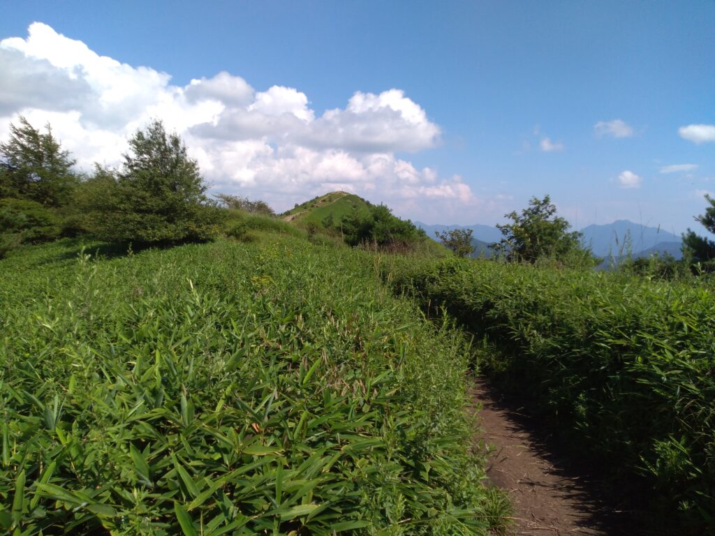 14時42分飯盛山登山道