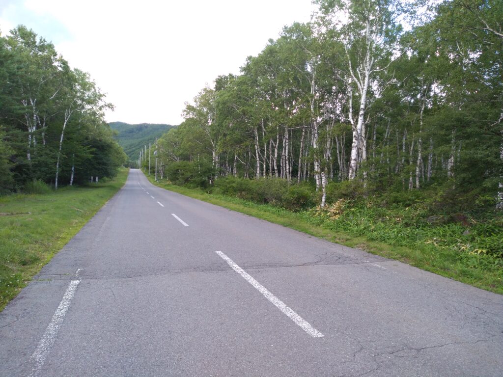 長野県南佐久郡佐久穂町
八千穂レイクの国道299号